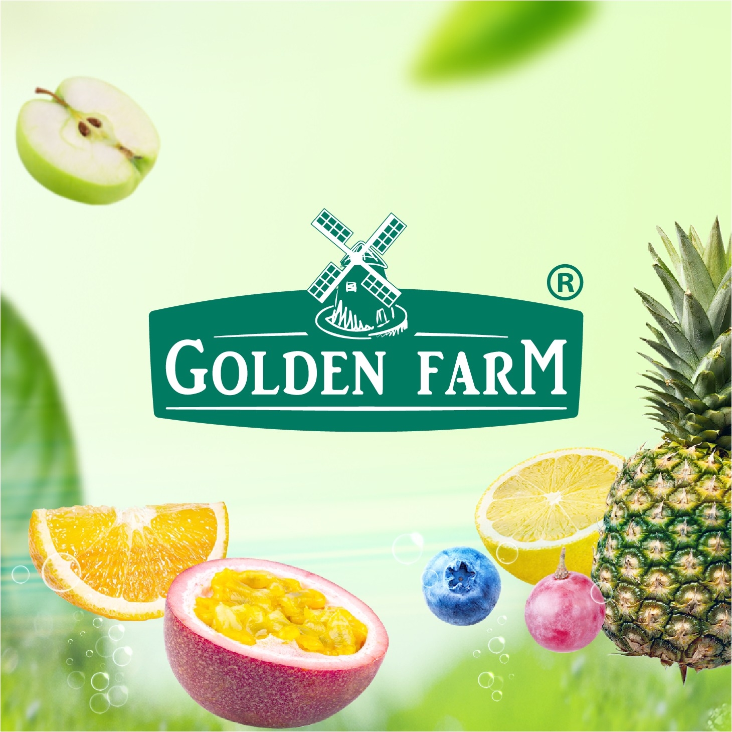 Công thức món ngon từ Sinh Tố Golden Farm • Golden Farm